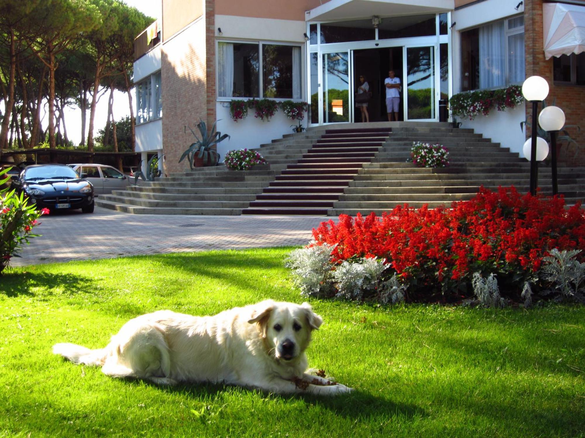 Hotel Beau Rivage Pineta Τζεσόλο Λίντο Εξωτερικό φωτογραφία