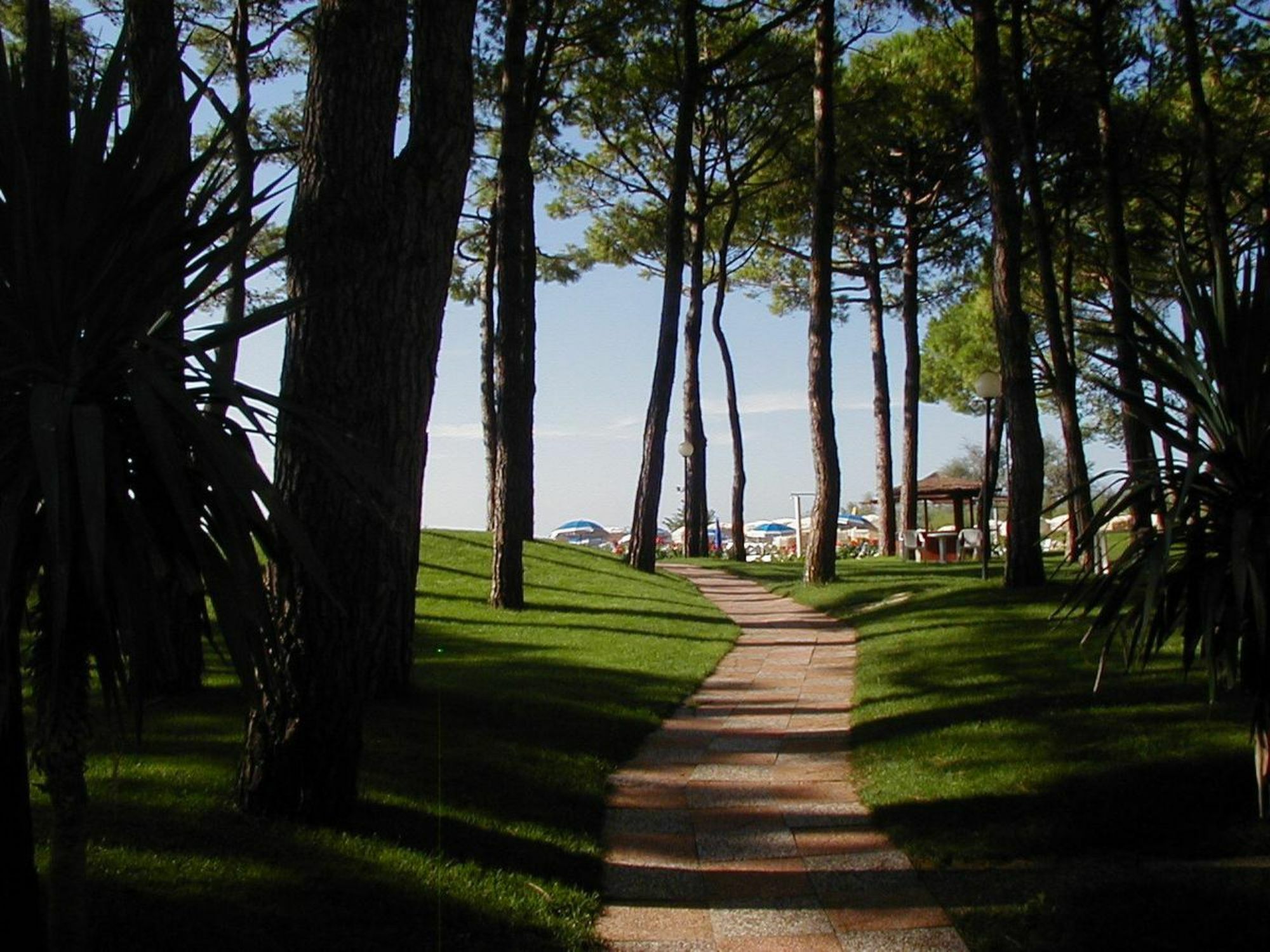 Hotel Beau Rivage Pineta Τζεσόλο Λίντο Εξωτερικό φωτογραφία